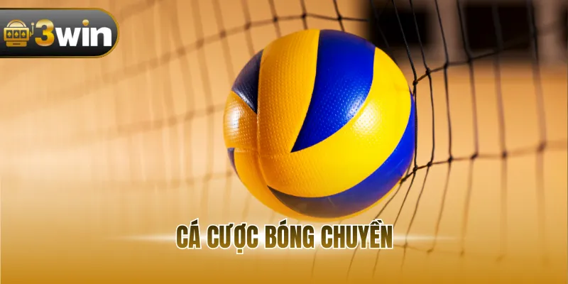 Bóng chuyền bộ môn thể thao hấp dẫn, tỷ lệ thắng cao