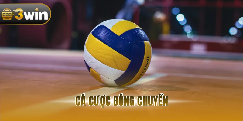 Cá Cược Bóng Chuyền - Kèo Đa Dạng, Thắng Lớn Mỗi Ngày