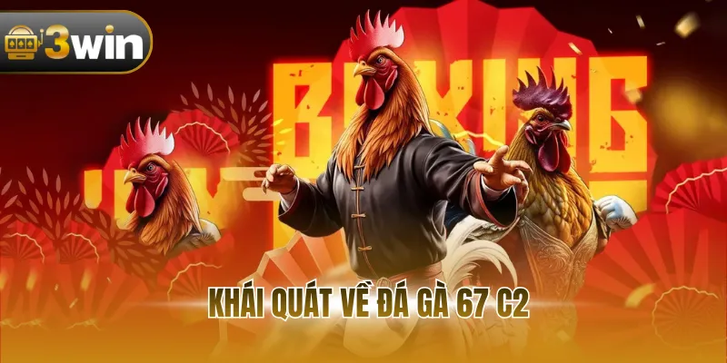 Khái quát về đá gà 67 c2